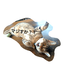 ふみなる