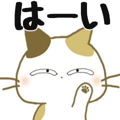 動くみけ猫みけさん