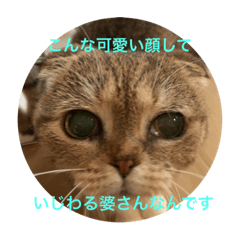 家族たち。ぱーと2