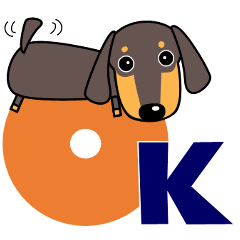 使いやすい ダックスフンド 犬好きな方へ