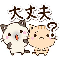 気遣う５匹のちび猫