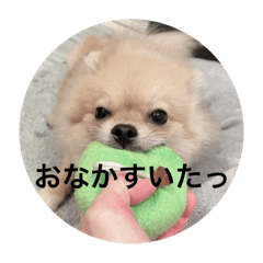 くまじろうのくぅ