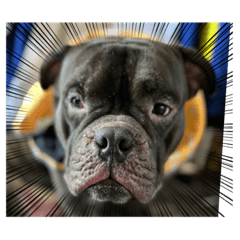 Wilson_20220520223438