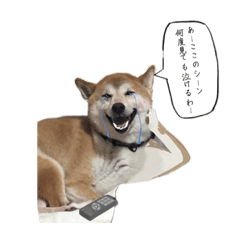 くにおすたんぷ