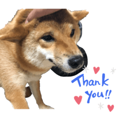 そらちゃんご挨拶