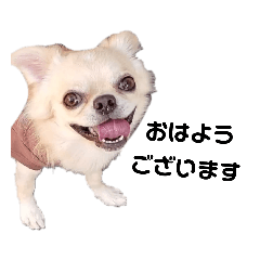 キキララルル2022ハロウィン