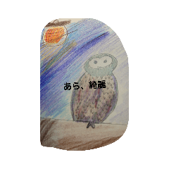 わたしはフクロウ、アイボリーです。