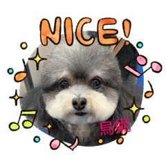 WeNdY_20221207205015