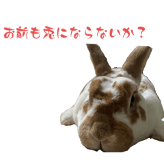 おいでよ勝藤動物園