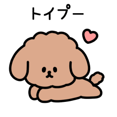 トイプーしか勝たん【トイプードル】