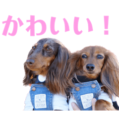 キアナとアクアのかわいいスタンプ2023