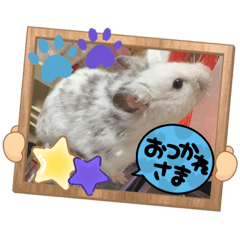 うちの子達1ゴールデン系