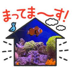 我が家の熱帯魚スタンプ