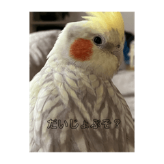 さくきなスタンプ