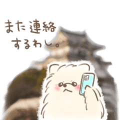 ポメラニアン♡るるたん関西弁ver.