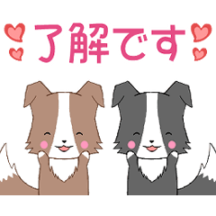 ちびボーダーコリー12【挨拶】