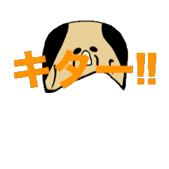 第5弾!! 国さんアニメ（公式）最高品編！！