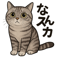 くーちゃんの一生懸命な毎日