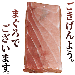 年中使える敬語まぐろ