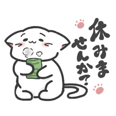 ねこかんじょう（しろ・くろ・みけ）