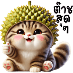 Cute gray cat with durian hat