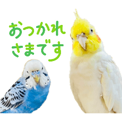 ふくちゃん&ぽんたん