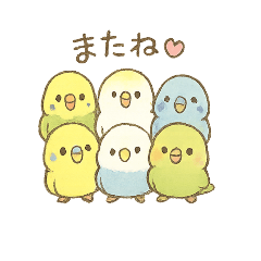 ぴよっとインコたち♥