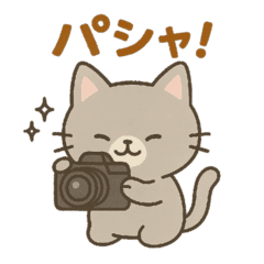 気ままに旅するカメラねこ