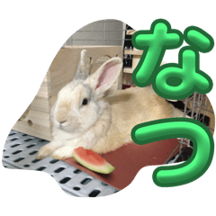 らいちゃん一族パート2