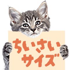 超ちいさい★リアルな子猫（やさしい毎日）