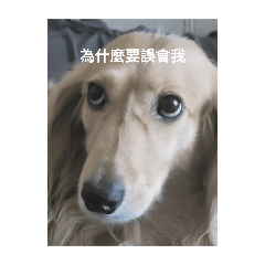 JASON GUO_20260118222912