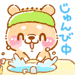 動くこしばちゃん5❤️柴犬家族日常
