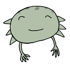 メキシコサンショウウオ太郎