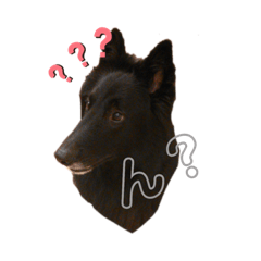 おちゃめネオくん