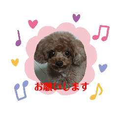 アンクロスタンプ