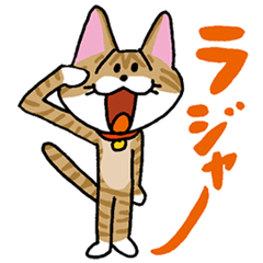 お茶目な茶虎ニャンコ