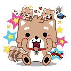 W♥C アライグマ