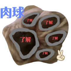 アンジェちゃん専用