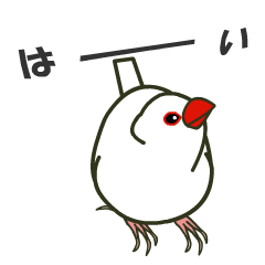 何か言いたいの？白いぶんちゃん