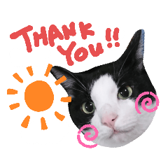 ココタンとチュロ