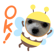 俺はディたんって言うんやで