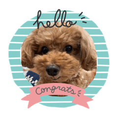 モコモコな友達