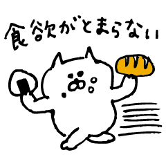 ねこまるのいちにち