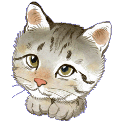 ゆめねこ３野良