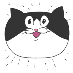 グレー猫とハチワレ猫