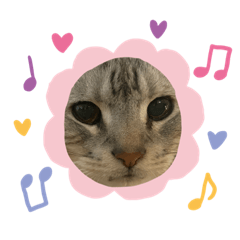 可愛いすぎてたまらない仲間たち