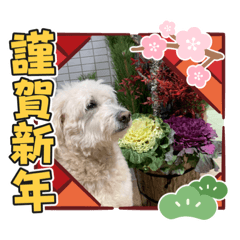 〜お試し版〜 MAXくん 正月ver