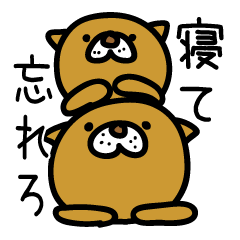 たまに敬語いぬ？ねこ？くま？