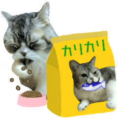 ざ・にゃんこスタンプ2