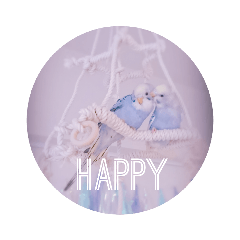 セキセイインコ 大人シンプルあいさつ